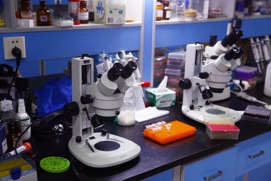 如何选择合适的环境模拟试验设备