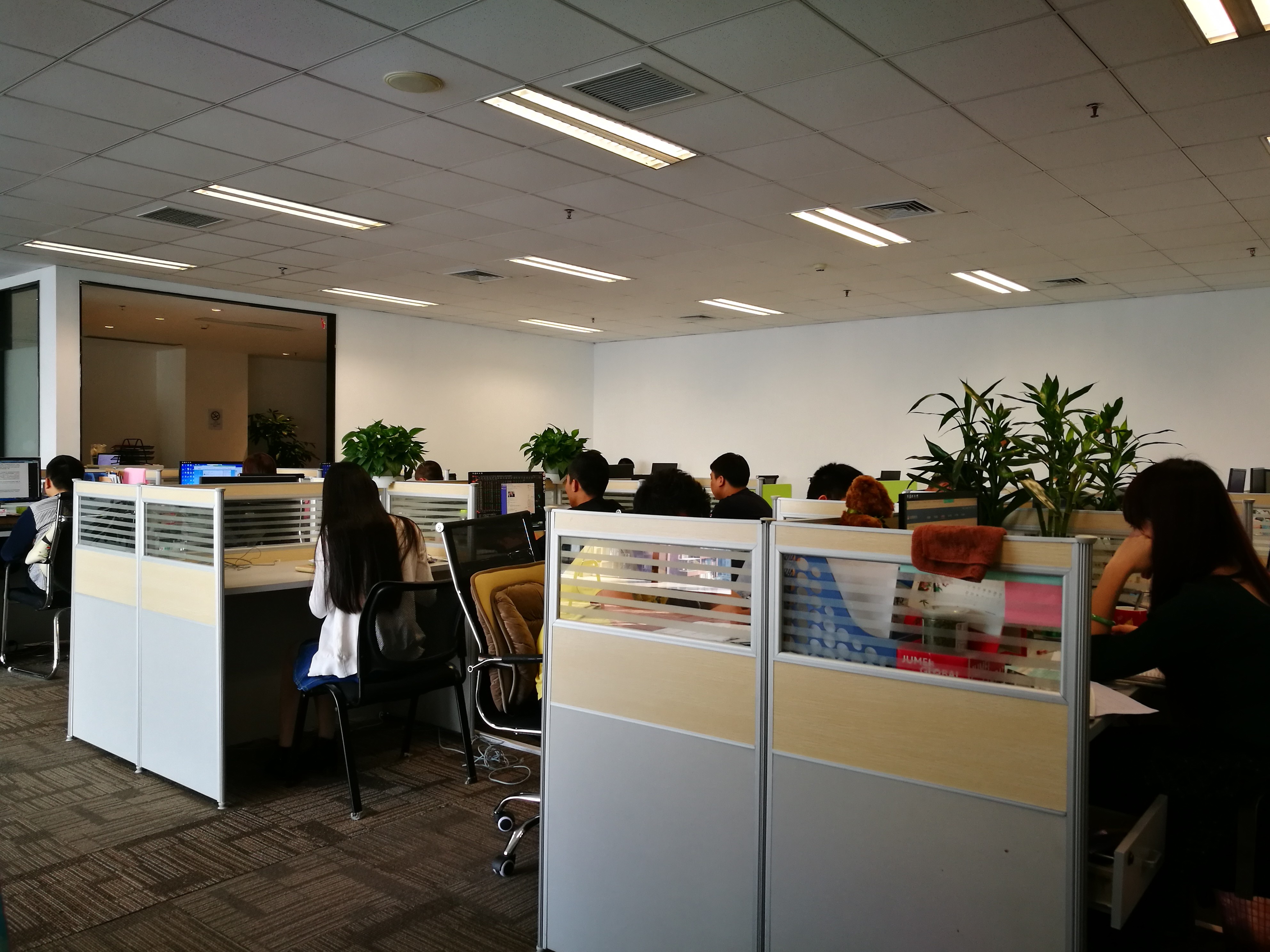 某金融机构数据分析项目