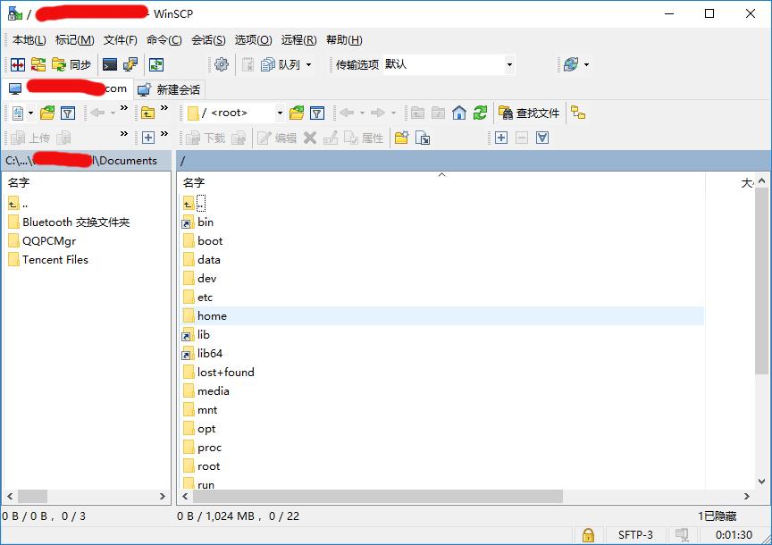 WinSCP主界面