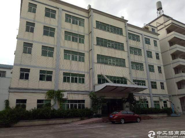 贸易公司办公场景