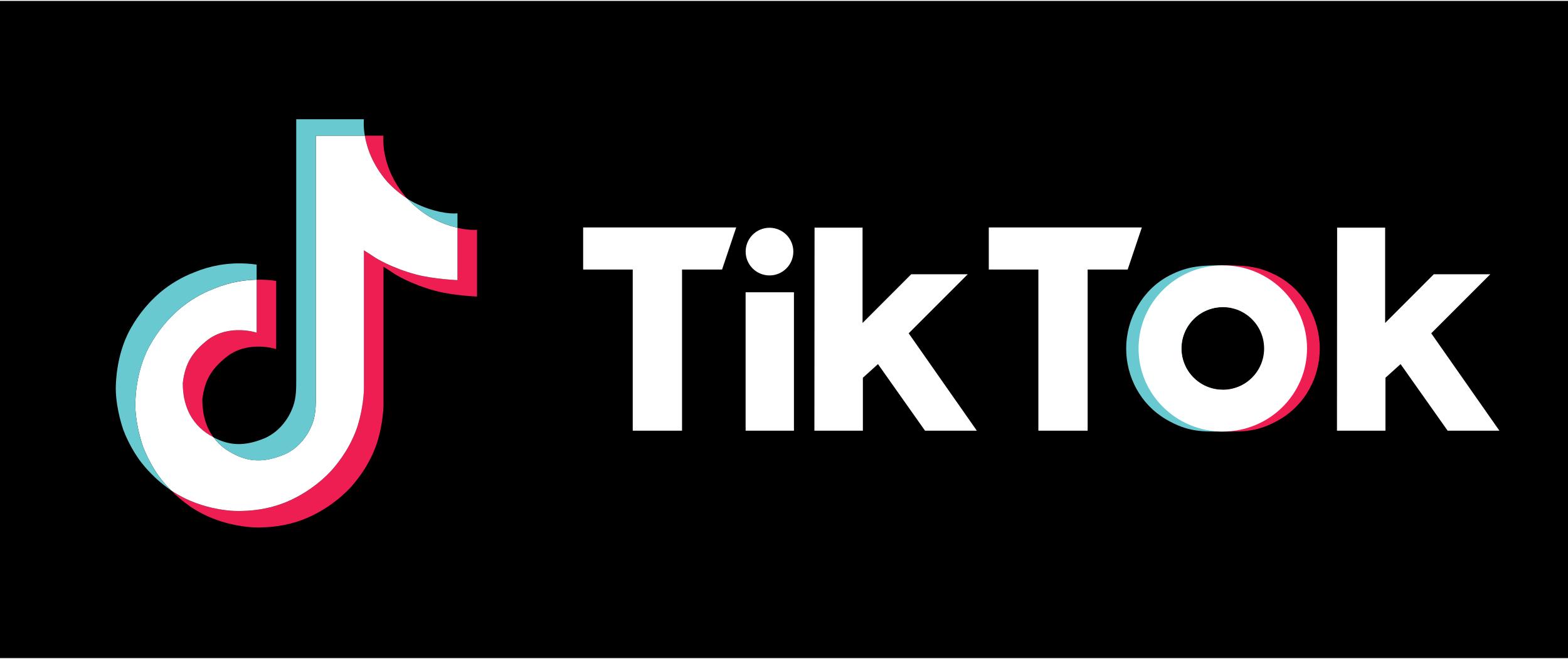 TikTok Logo