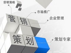 企业营销策划