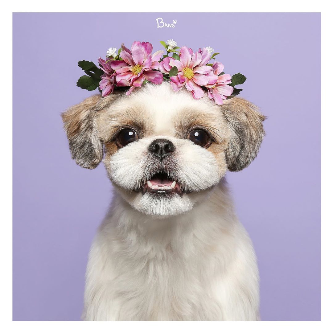 日系小清新风格