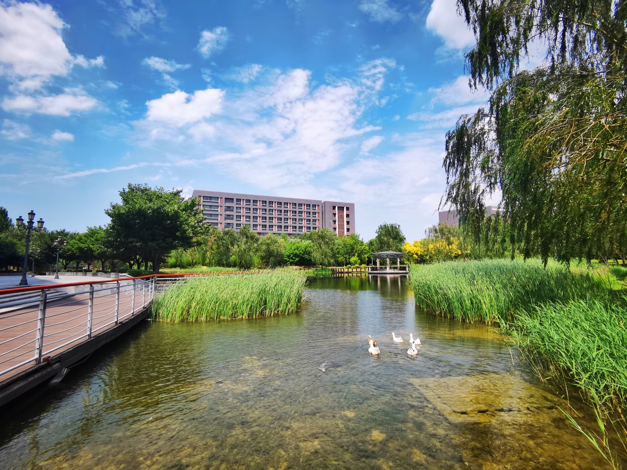 东湖学院校园环境