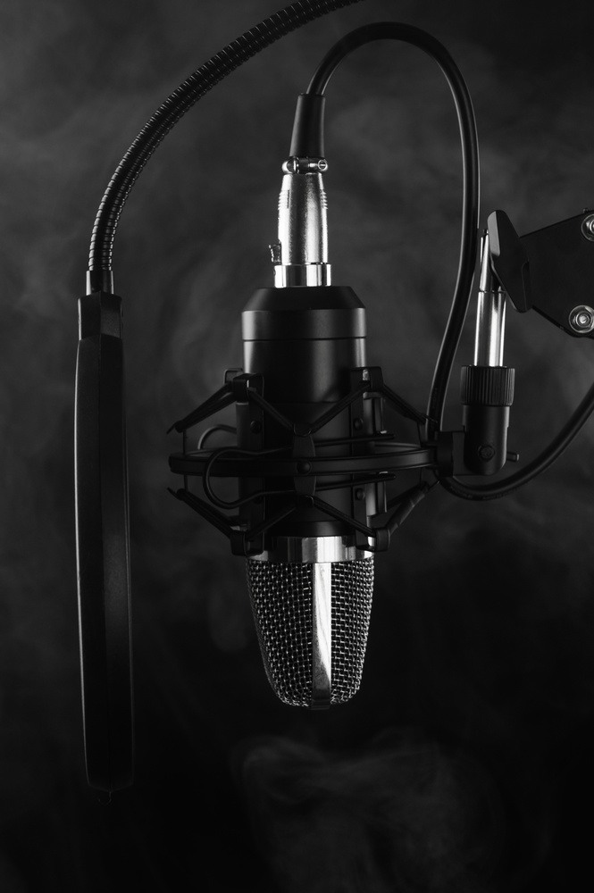 Large Diaphragm Condenser Microphone