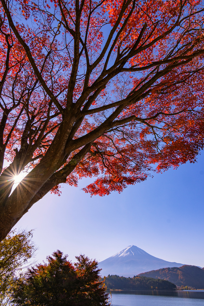秋の富士山