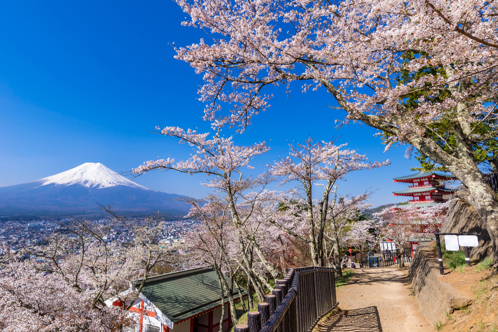 新倉山浅間公園