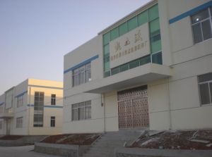 大型集装箱船项目